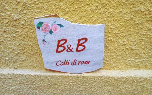 B&B Colti Di Rosa