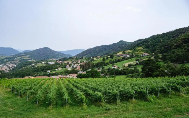 Agriturismo Podere Cavaga Lago d'Iseo Agribio Winery