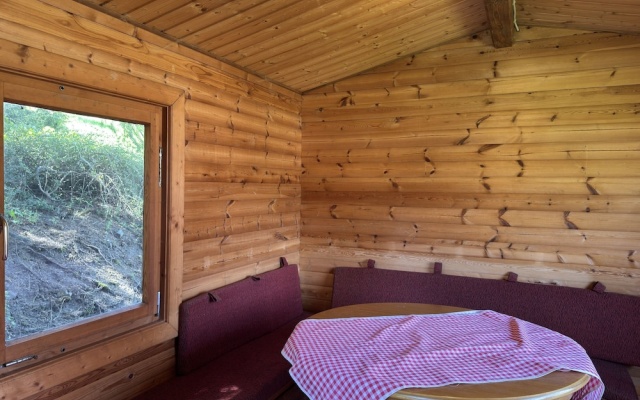 Apartment in Altenau Near Hexenstieg Trail
