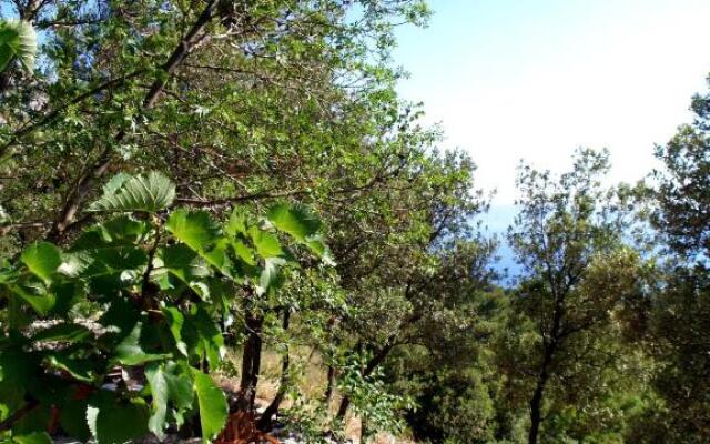 Holiday Home Dalmatinska Kuća