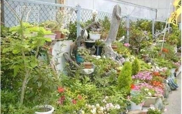 Minshuku Taharaya