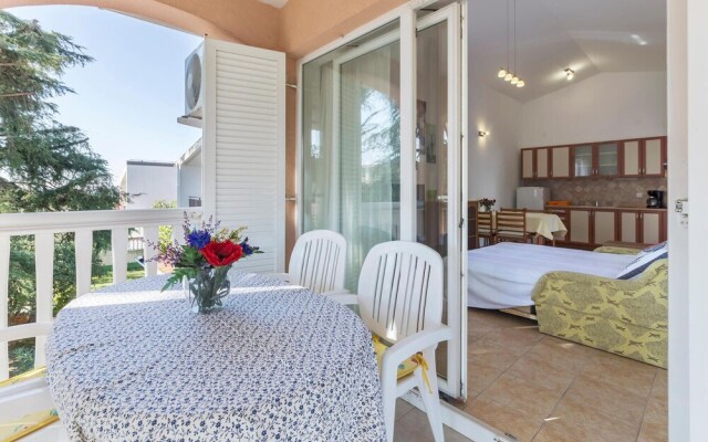 Awesome Apartment in Vodnjan With 1 Bedrooms and Wifi