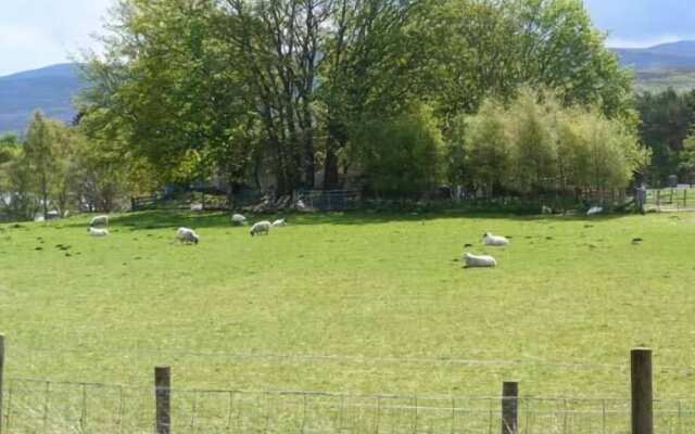Fronthill