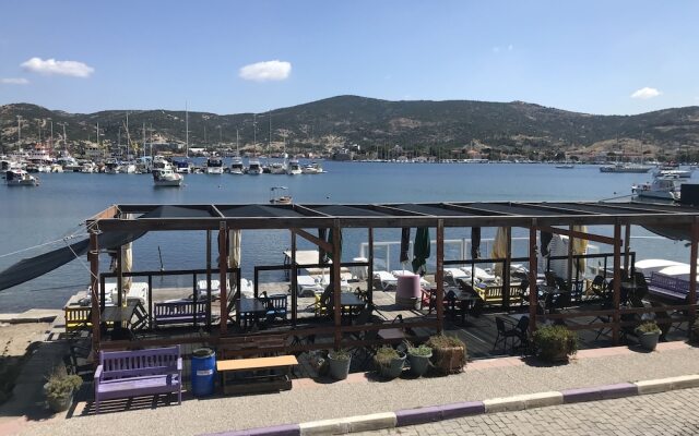 Vertigo Foca