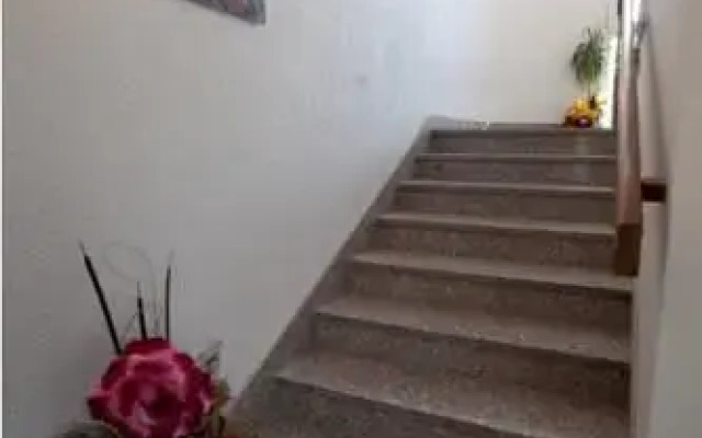 Apartments Villa Rose