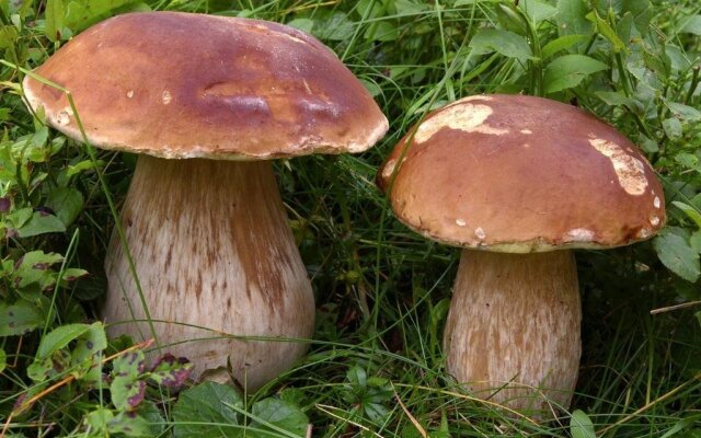 Agriturismo Sant’Isidoro