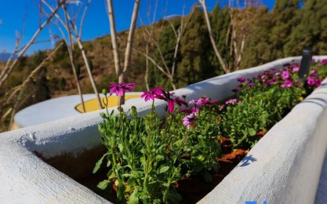 Rousseau homestay in Fuxian Lake