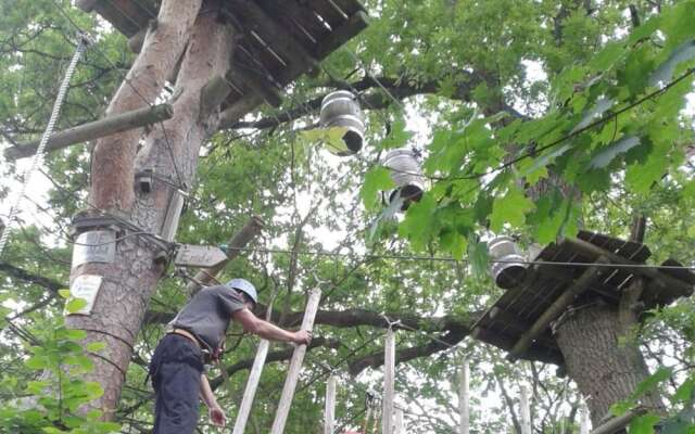 am Wald 2 Modern Retreat