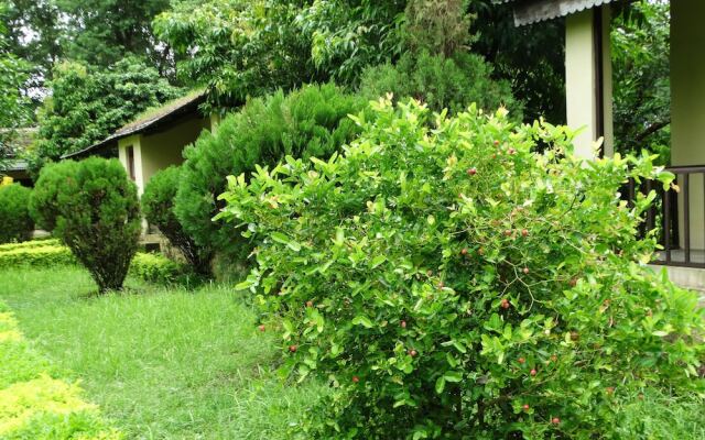 Nepal Wildlife Resort