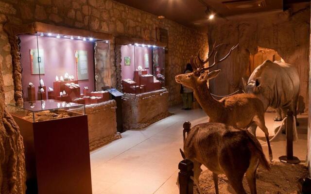 Apartment Lucena Park