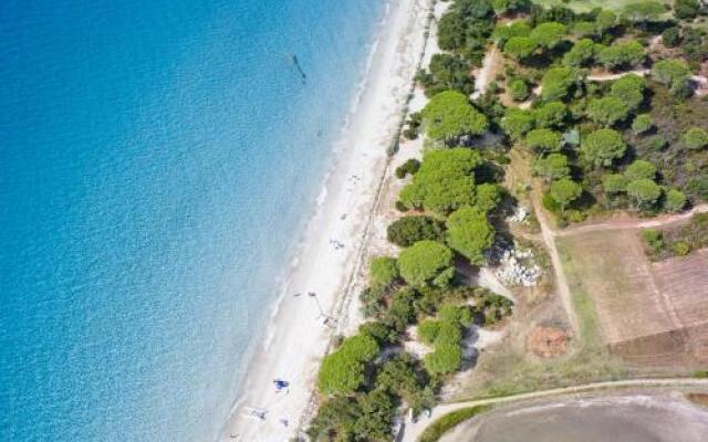 U Cantu di I Cardellini