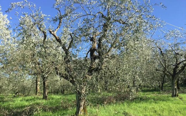 Country House With Pool and Court