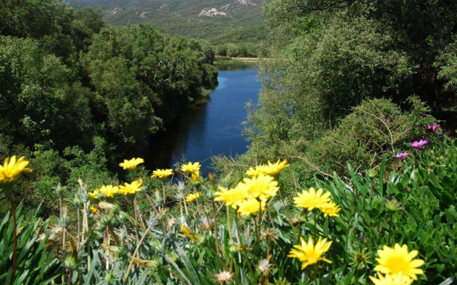 L'Agnata di De André
