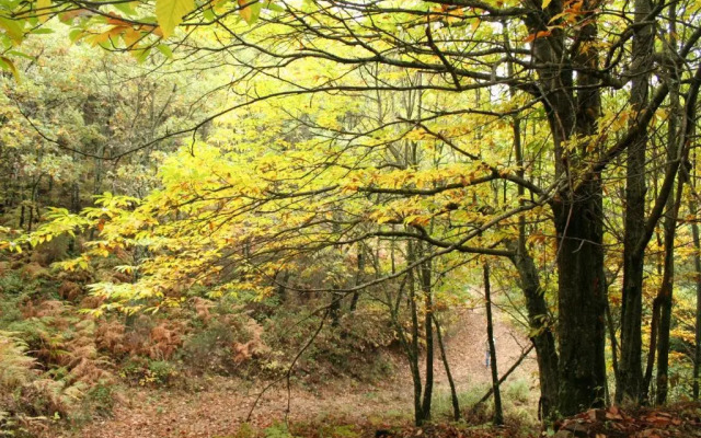 Natura Glamping