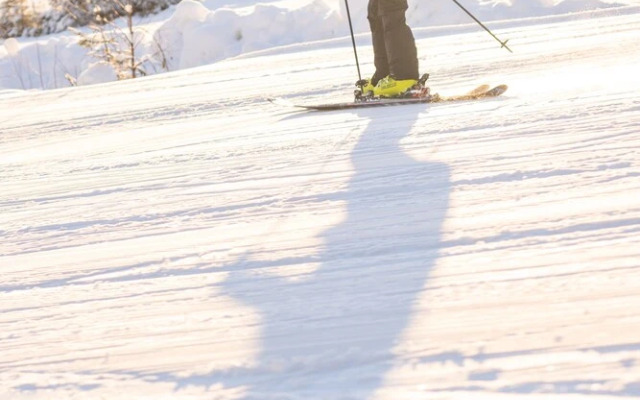 Högbo Pensionat Skommarsgården