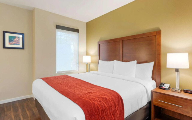 Comfort Inn & Suites near Ontario Airport