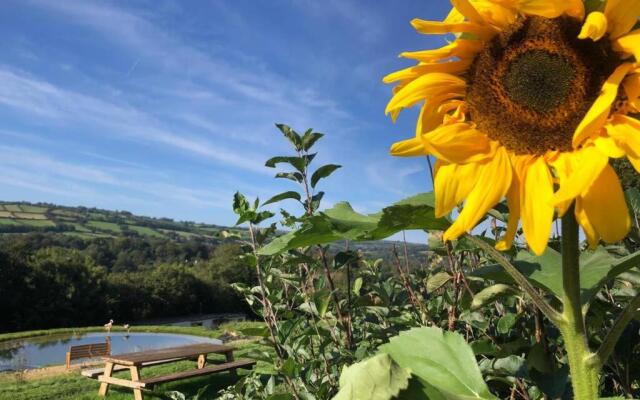 Stables, 1 bed Eco earth house, edge of Dartmoor