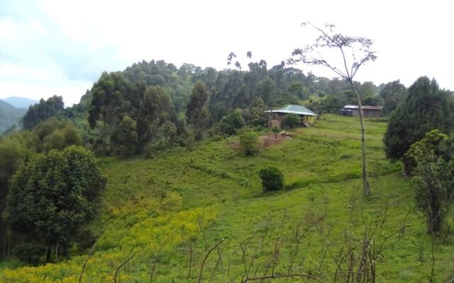 Bwindi Panorama Resort