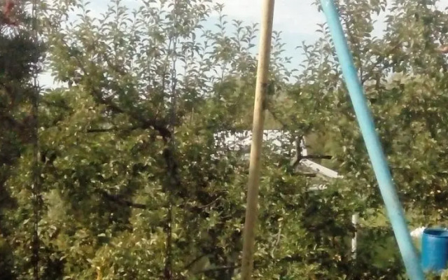 Hotel Dacha