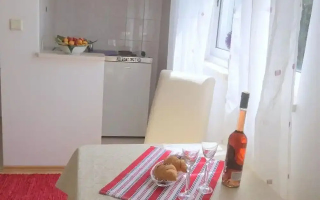 Apartments Franka - Studio With Terrace and Sea View