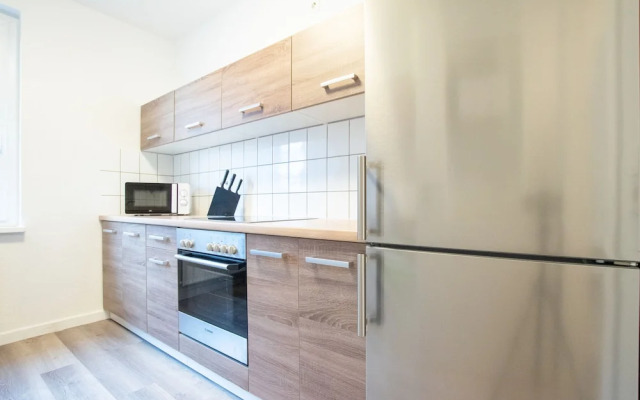 Comfortable Large Center Apartment