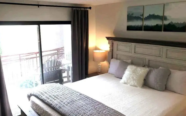 Fantastic Renovated Condo Pool Downtown Fireplace