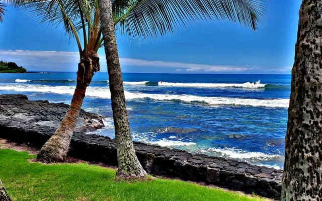 Ali'i Banyan Breeze