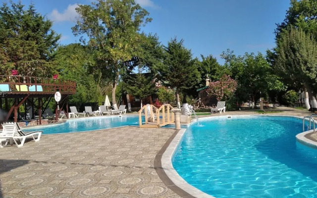 Paradise Plus Agva