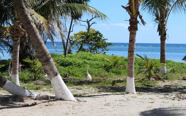 El Fuerte Beach Resort