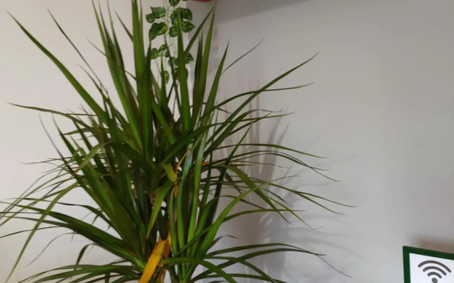 Votre Maison à Braga / Your home in Braga