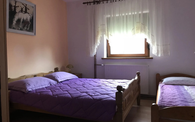 Apartments & Rooms Renata