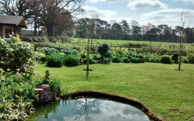The Cider Shed Bed and Breakfast