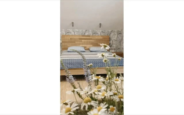 Экодача 12 месяцев