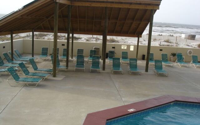 Phoenix 1154 Penthouse