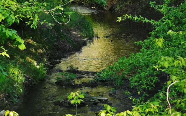 Ferienwohnung in der Ciderwirtschaft