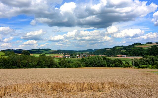 Apartment Between Winterberg and Willingen