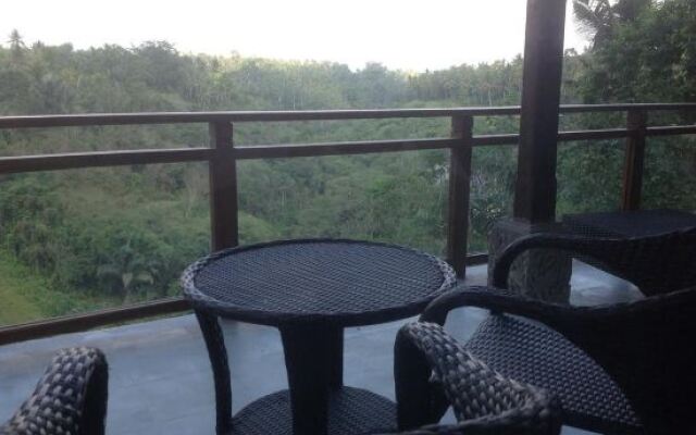 Bali Ubud Villa View