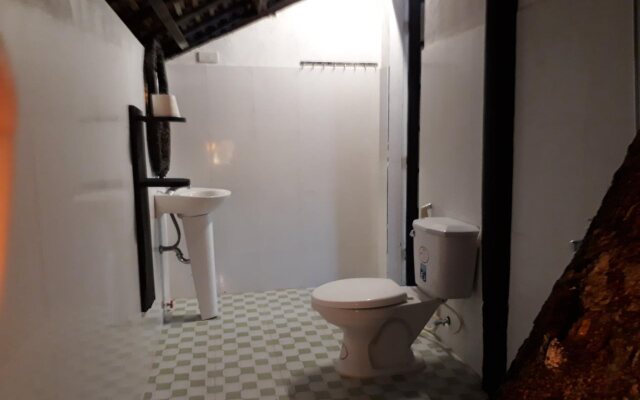 Thuy Bieu Homestay