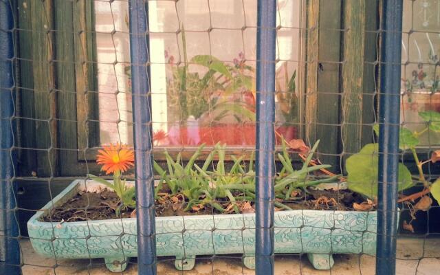 Ayvalik Blue House