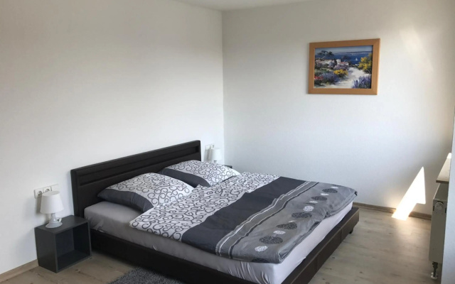 Exklusive Wohnung mit Dachterrasse in Schleußig