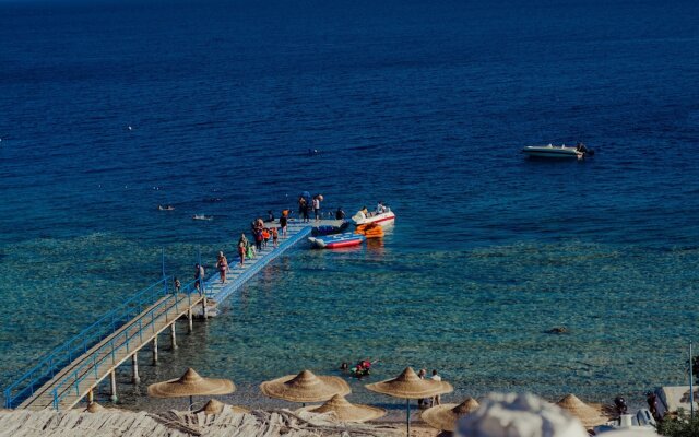 Sharks Bay Hotel & Padi Butterfly