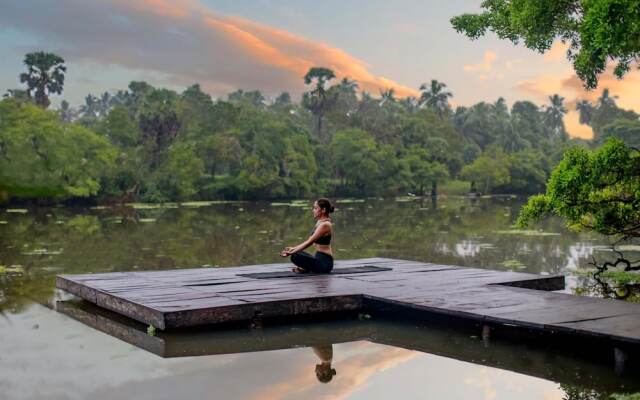 The Backwaters