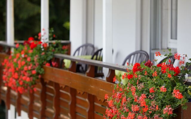 Waldhotel Tannmuehle