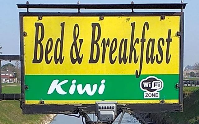 B&B Kiwi