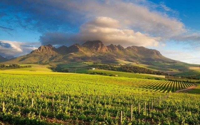 Centrally Located 2 Bedroom Apartment in Cape Town