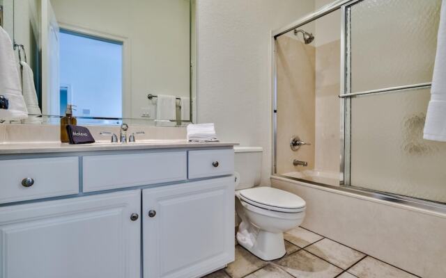 Ocean Blvd - Sand Dollar