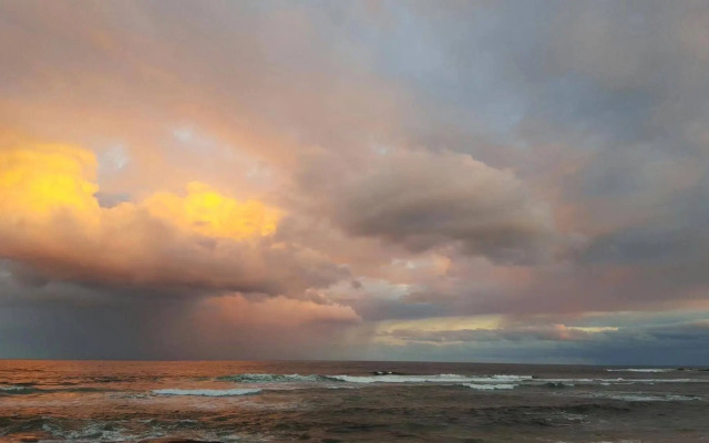 Shelly Beach Holiday Park