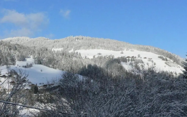 Stylish Chalet in Charming Megeve