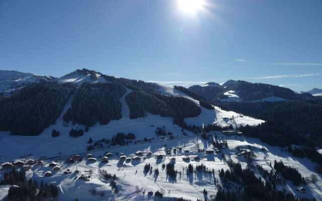 Rustic apartment in the center of Notre Dame de Bellecombe