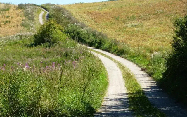 Trangemosegaard